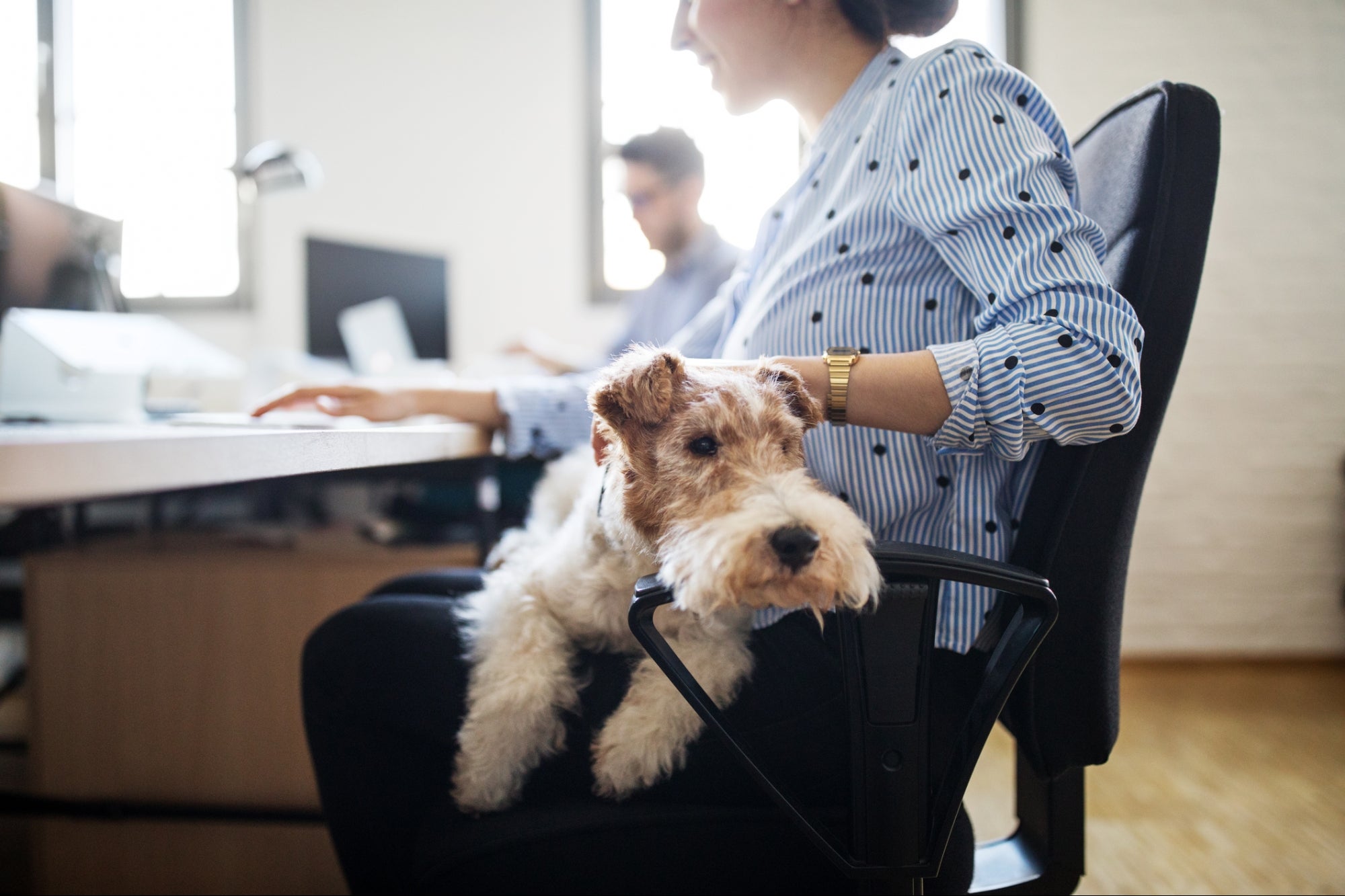 How Pets Can Promote Better Health and Well-Being in the Workplace