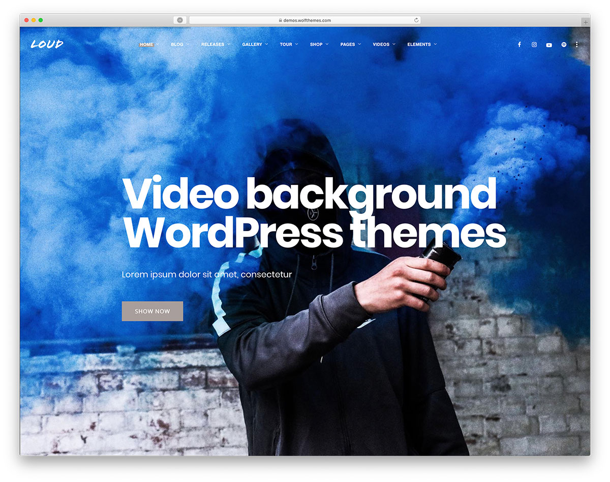 10 Best WordPress Video Background Themes 2025