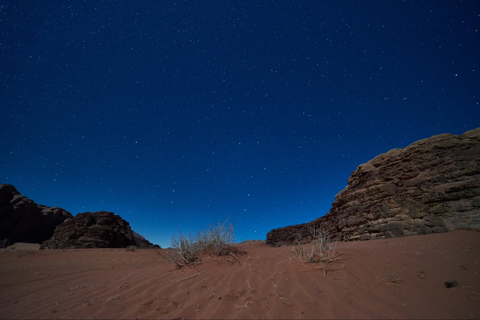 How a Night in the Jordanian Desert Taught Me a Business Lesson I'll Never Forget