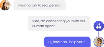 Chat bot transfers user to a live human agent
